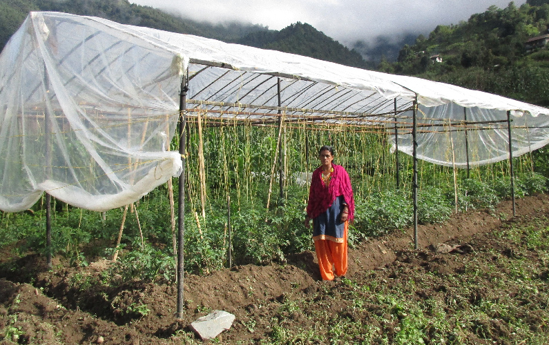 Learning New Skills, I am Becoming a Professional Farmer